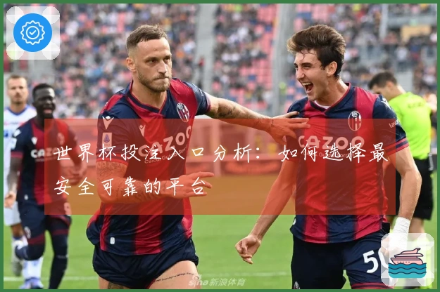 世界杯投注入口分析：如何选择最安全可靠的平台