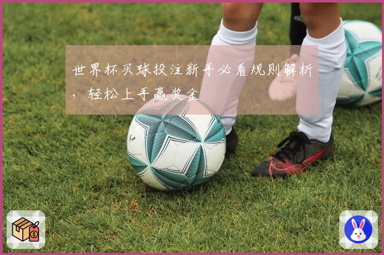 世界杯买球投注新手必看规则解析，轻松上手赢奖金
