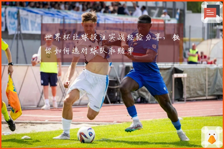 世界杯让球投注实战经验分享，教你如何选对球队和赔率