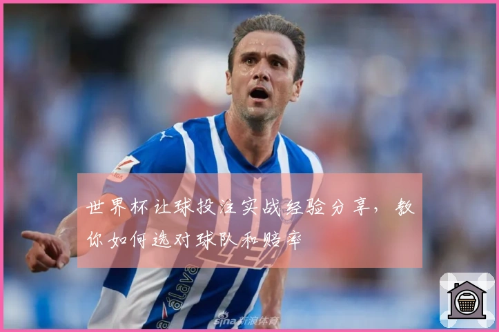 世界杯让球投注实战经验分享，教你如何选对球队和赔率