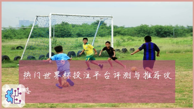 热门世界杯投注平台评测与推荐攻略