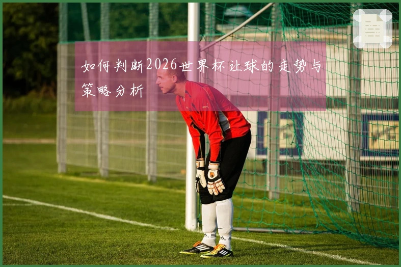 如何判断2026世界杯让球的走势与策略分析