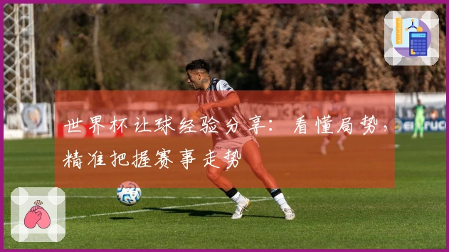 世界杯让球经验分享：看懂局势，精准把握赛事走势