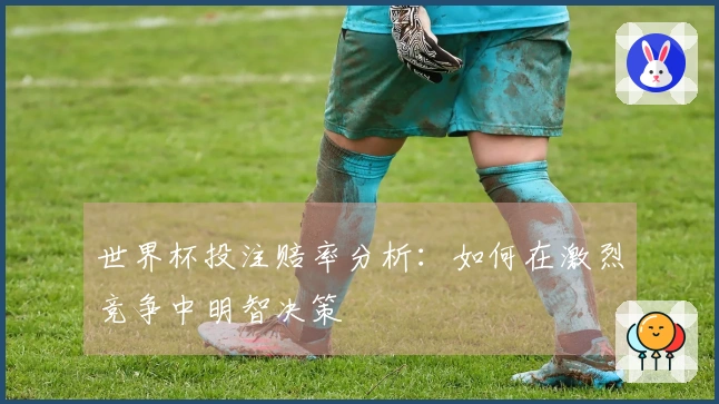 世界杯投注赔率分析：如何在激烈竞争中明智决策
