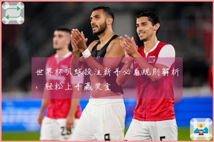 世界杯买球投注新手必看规则解析，轻松上手赢奖金