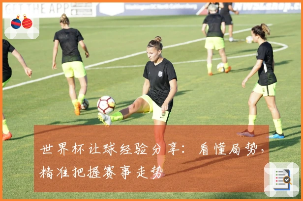 世界杯让球经验分享：看懂局势，精准把握赛事走势